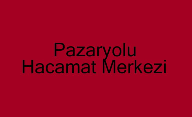 Pazaryolu Hacamat Merkezi